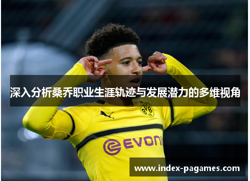 深入分析桑乔职业生涯轨迹与发展潜力的多维视角