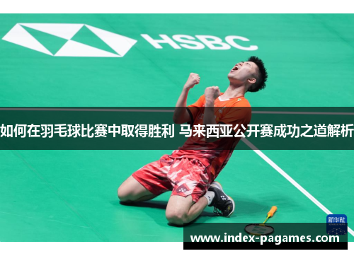 如何在羽毛球比赛中取得胜利 马来西亚公开赛成功之道解析