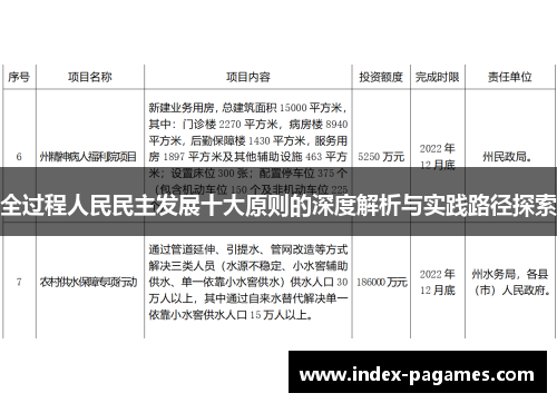 全过程人民民主发展十大原则的深度解析与实践路径探索