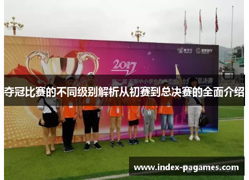 夺冠比赛的不同级别解析从初赛到总决赛的全面介绍