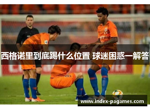 西格诺里到底踢什么位置 球迷困惑一解答