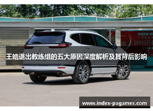 王皓退出教练组的五大原因深度解析及其背后影响